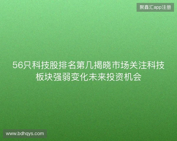 56只科技股排名第几揭晓市场关注科技板块强弱变化未来投资机会